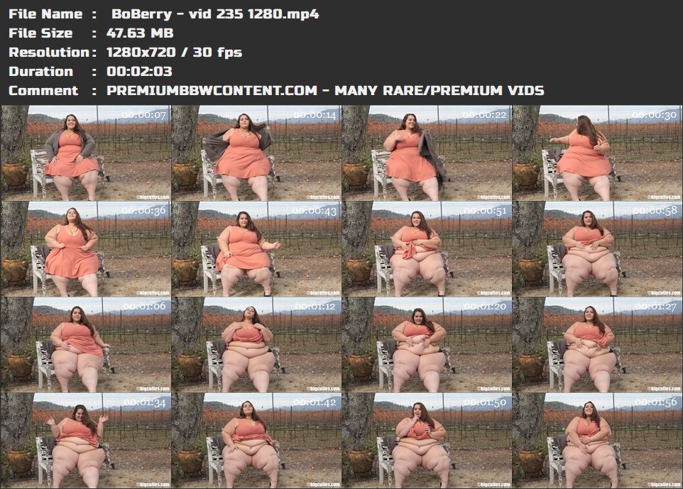  BoBerry - vid 235 1280 thumbnails