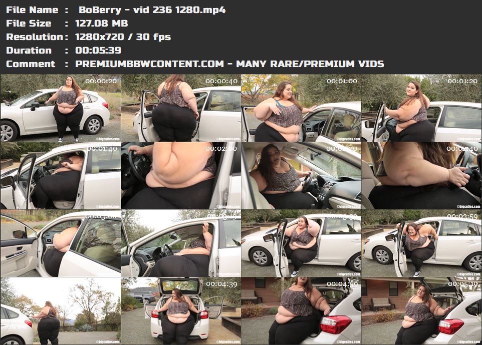  BoBerry - vid 236 1280 thumbnails