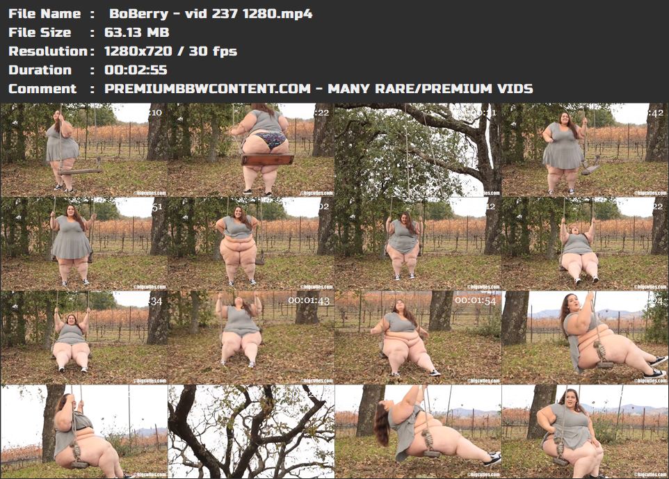  BoBerry - vid 237 1280 thumbnails