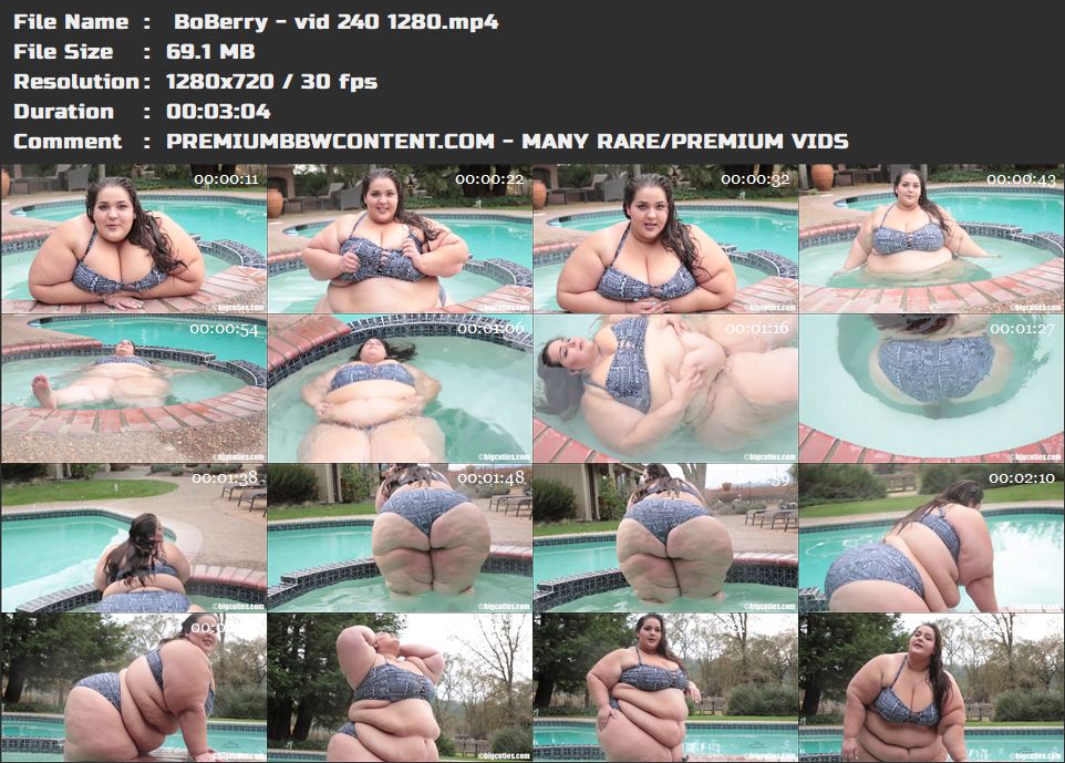  BoBerry - vid 240 1280 thumbnails