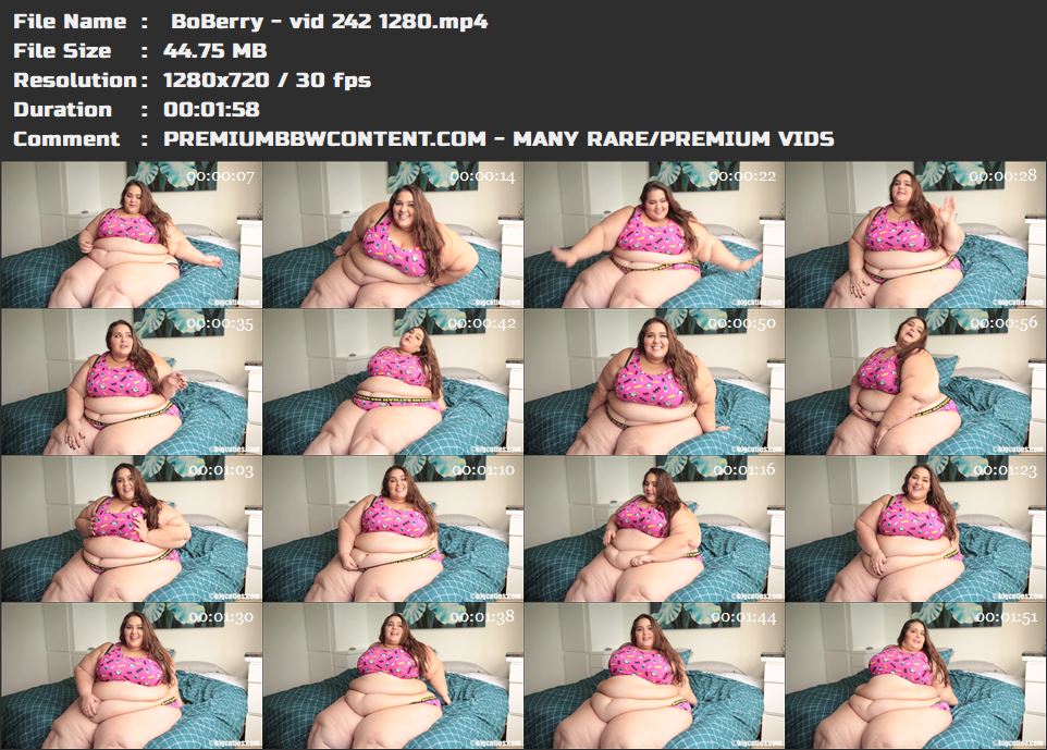  BoBerry - vid 242 1280 thumbnails