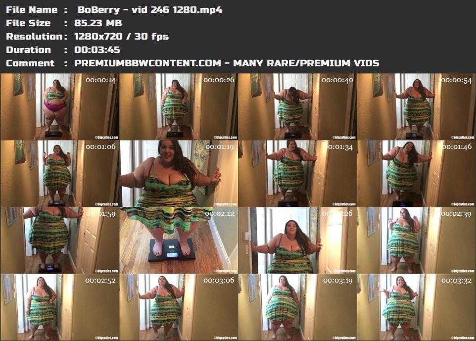 BoBerry - vid 246 1280 thumbnails
