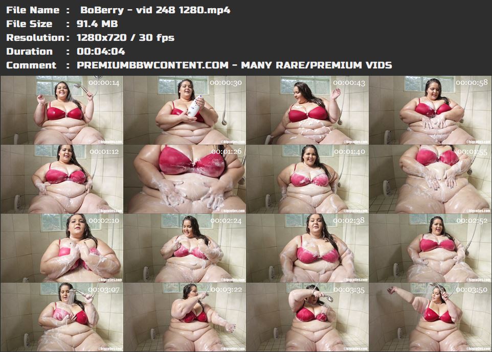  BoBerry - vid 248 1280 thumbnails