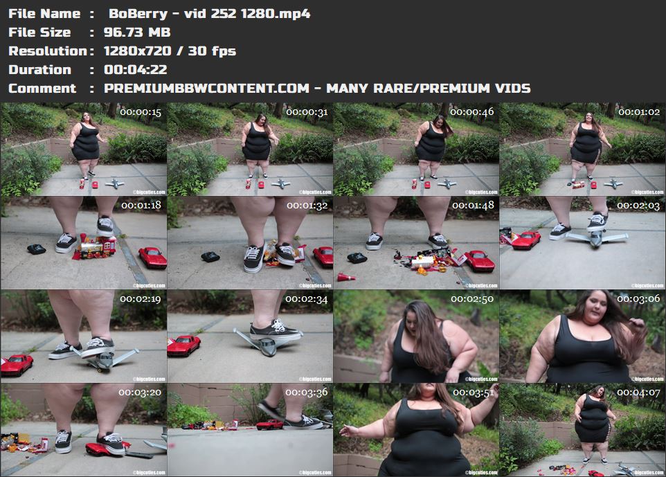  BoBerry - vid 252 1280 thumbnails