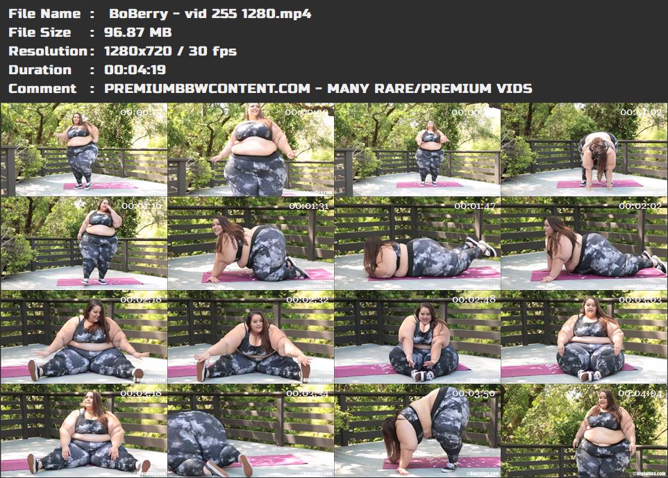  BoBerry - vid 255 1280 thumbnails