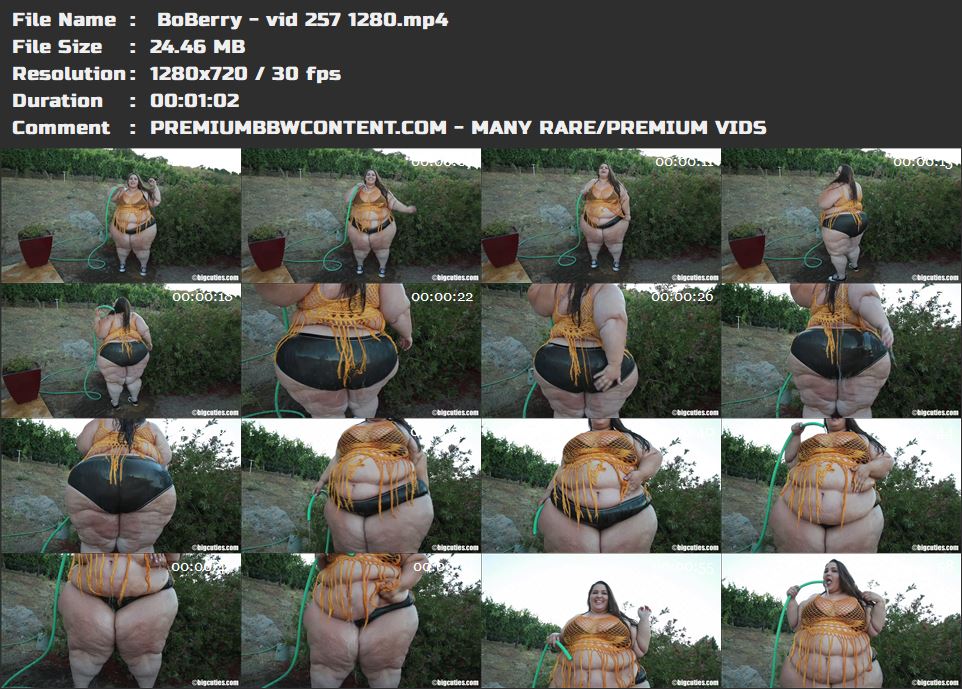  BoBerry - vid 257 1280 thumbnails