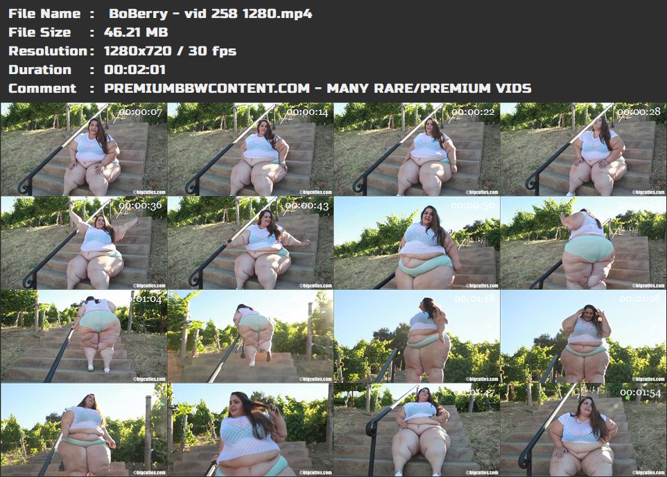  BoBerry - vid 258 1280 thumbnails