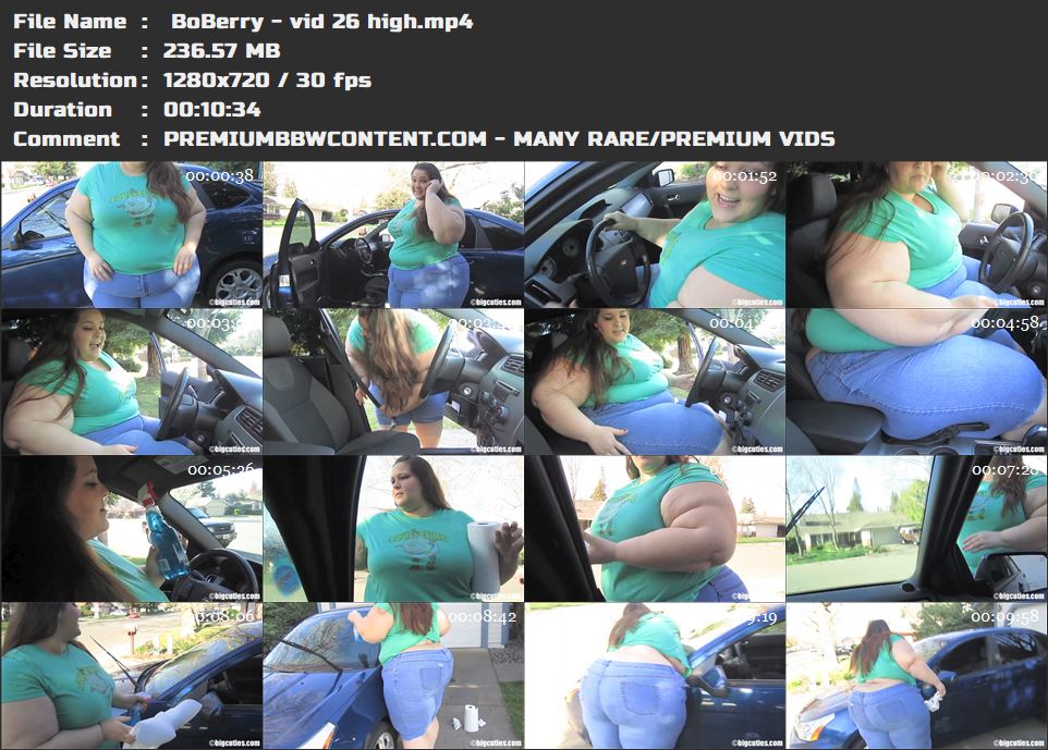  BoBerry - vid 26 high thumbnails