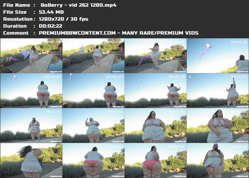  BoBerry - vid 262 1280 thumbnails