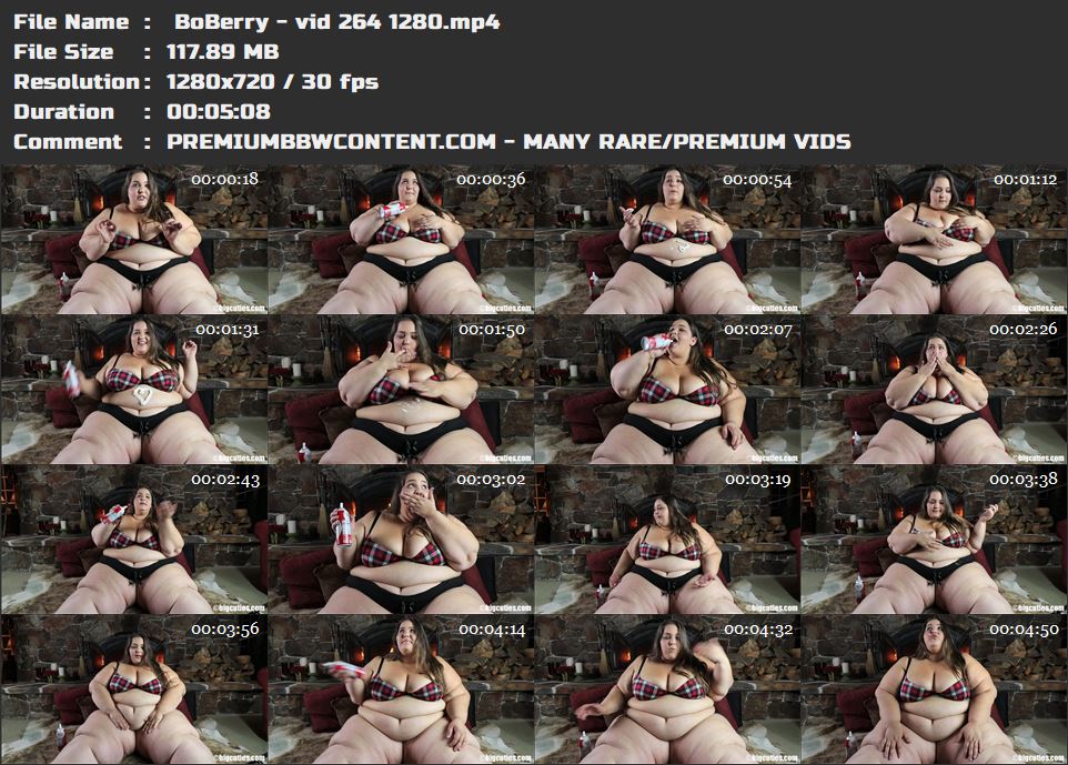  BoBerry - vid 264 1280 thumbnails