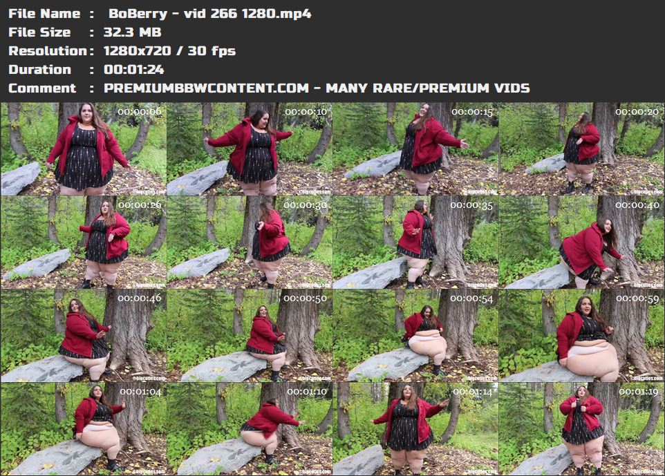  BoBerry - vid 266 1280 thumbnails