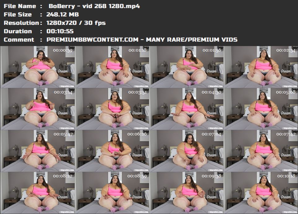  BoBerry - vid 268 1280 thumbnails