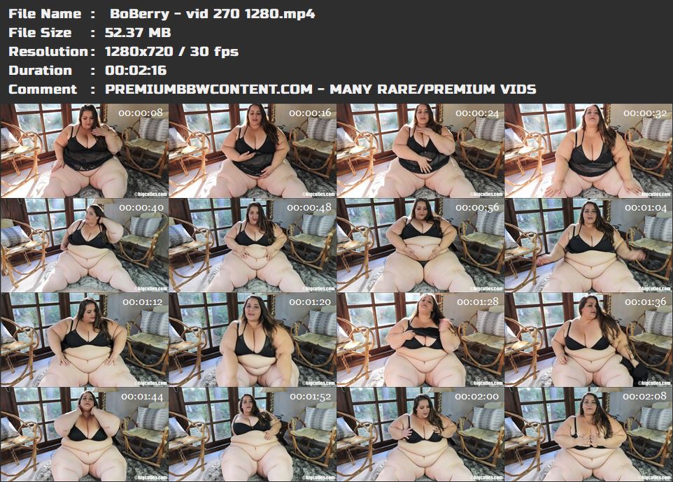  BoBerry - vid 270 1280 thumbnails