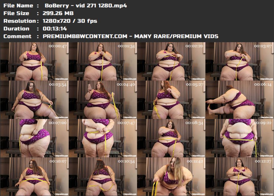  BoBerry - vid 271 1280 thumbnails