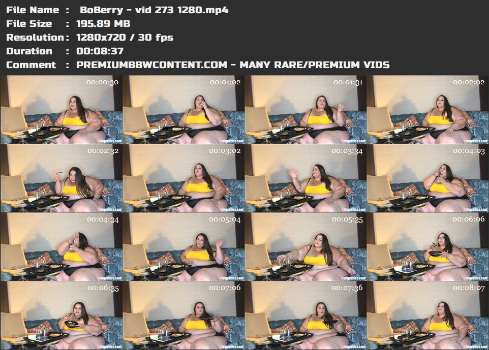  BoBerry - vid 273 1280 thumbnails
