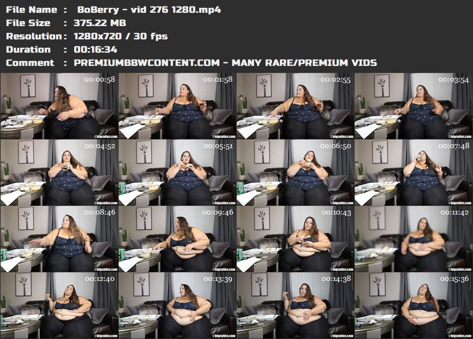  BoBerry - vid 276 1280 thumbnails