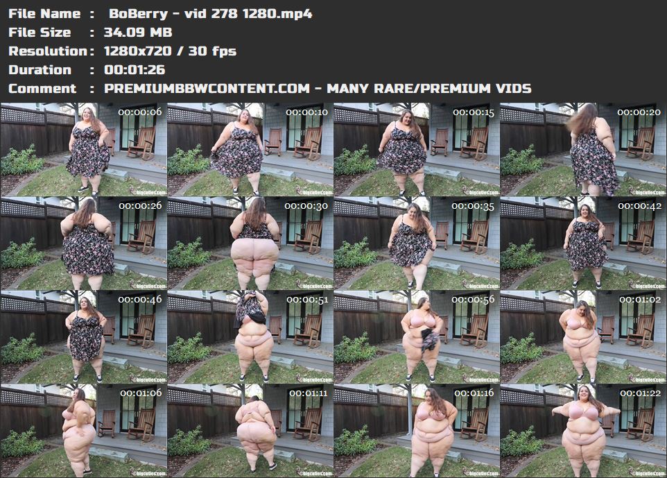  BoBerry - vid 278 1280 thumbnails
