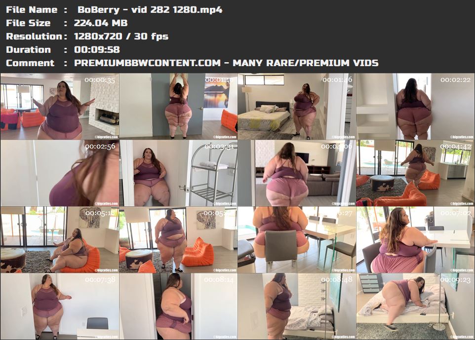  BoBerry - vid 282 1280 thumbnails