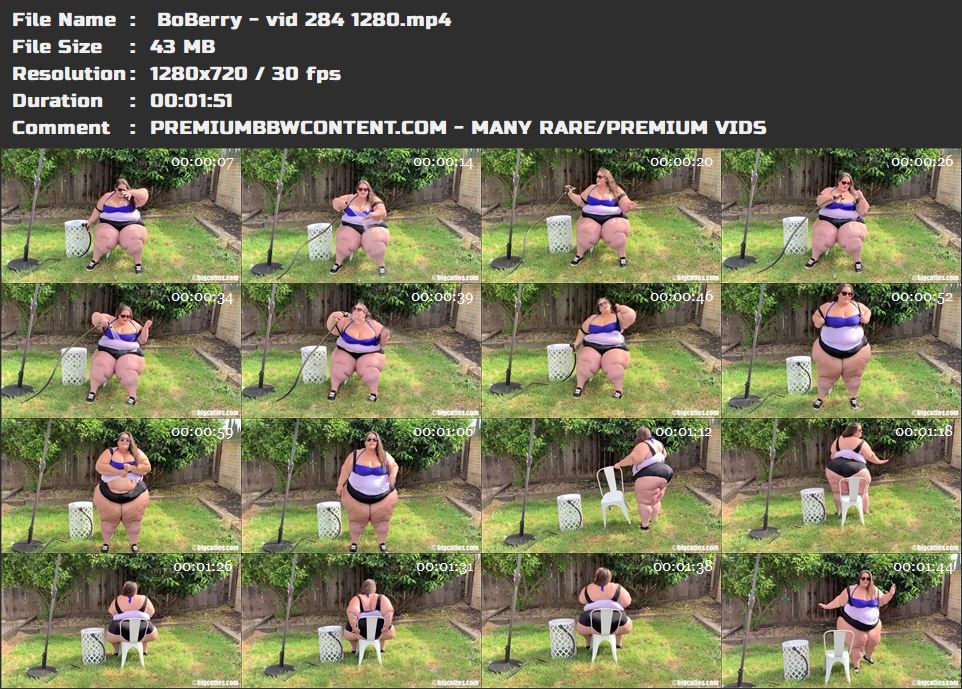  BoBerry - vid 284 1280 thumbnails