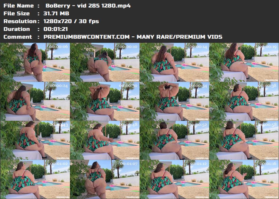  BoBerry - vid 285 1280 thumbnails