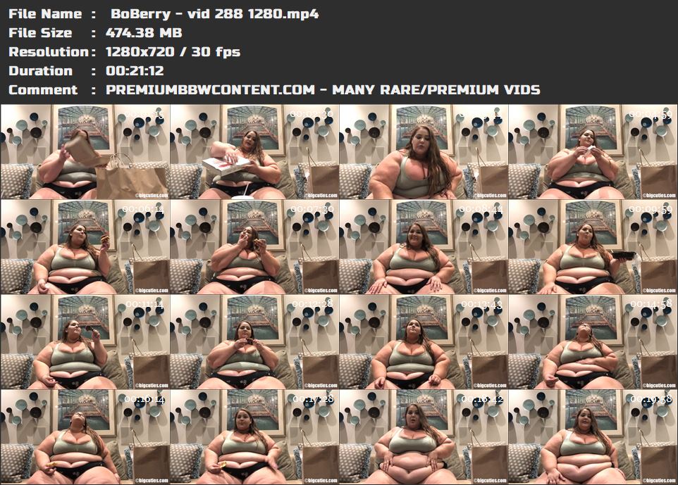 BoBerry - vid 288 1280 thumbnails