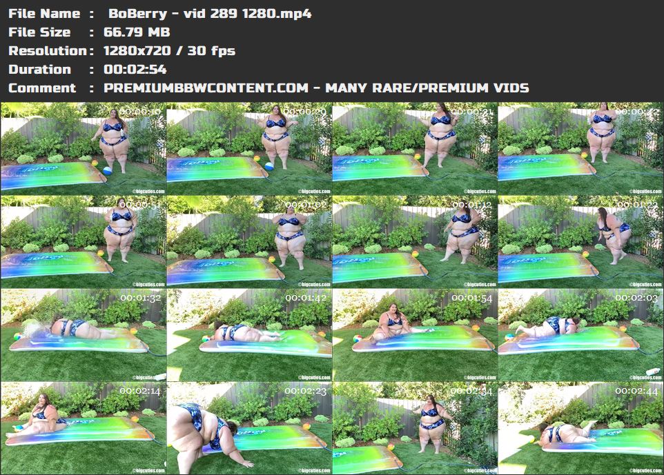  BoBerry - vid 289 1280 thumbnails