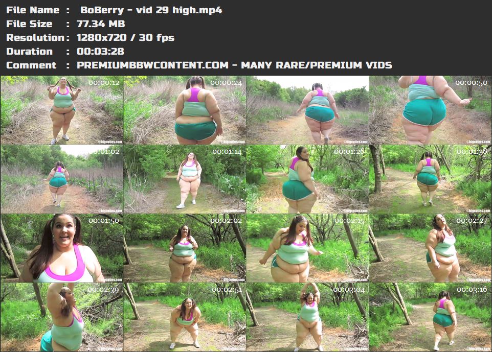 BoBerry - vid 29 high thumbnails