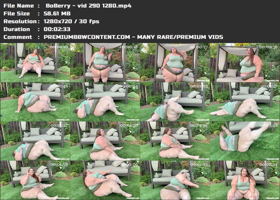  BoBerry - vid 290 1280 thumbnails