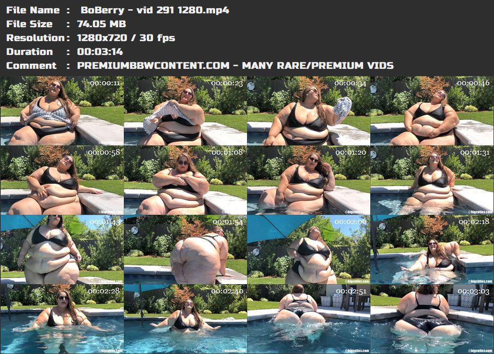  BoBerry - vid 291 1280 thumbnails