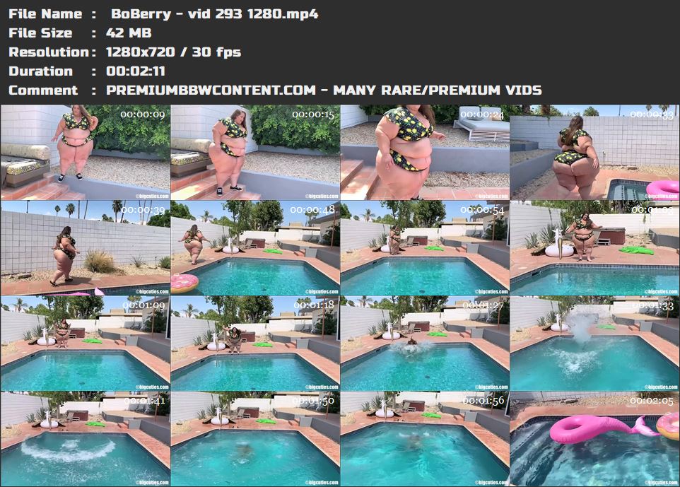  BoBerry - vid 293 1280 thumbnails