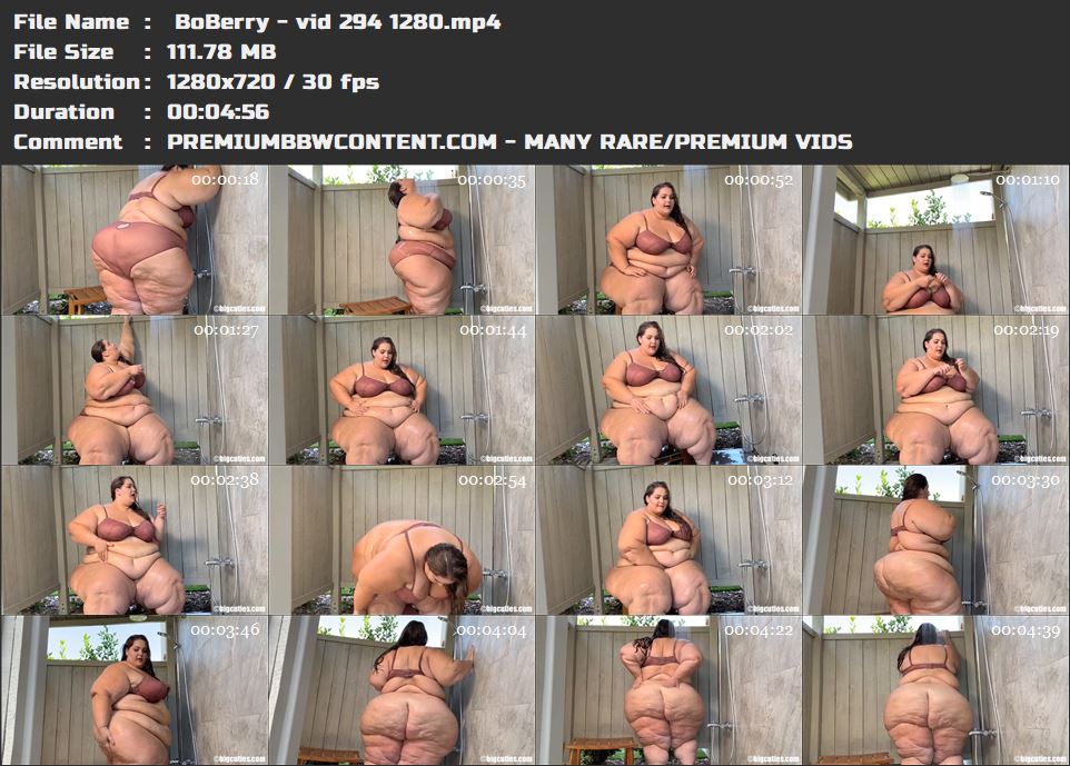  BoBerry - vid 294 1280 thumbnails