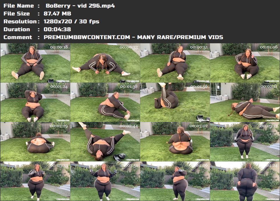  BoBerry - vid 296 thumbnails