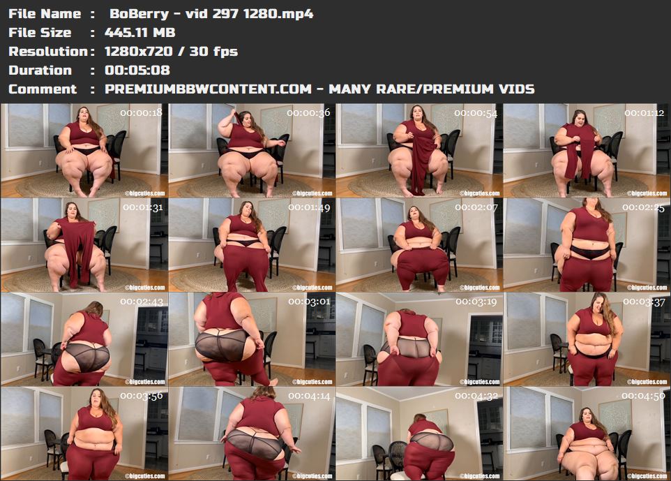  BoBerry - vid 297 1280 thumbnails
