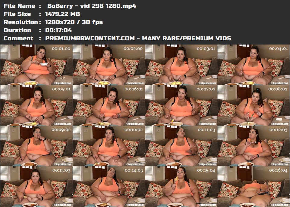  BoBerry - vid 298 1280 thumbnails