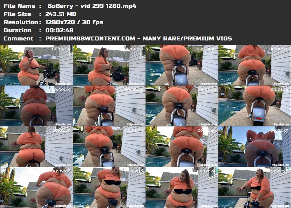  BoBerry - vid 299 1280 thumbnails