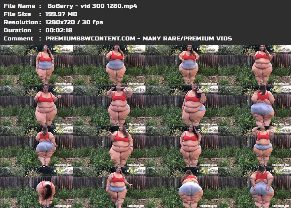  BoBerry - vid 300 1280 thumbnails