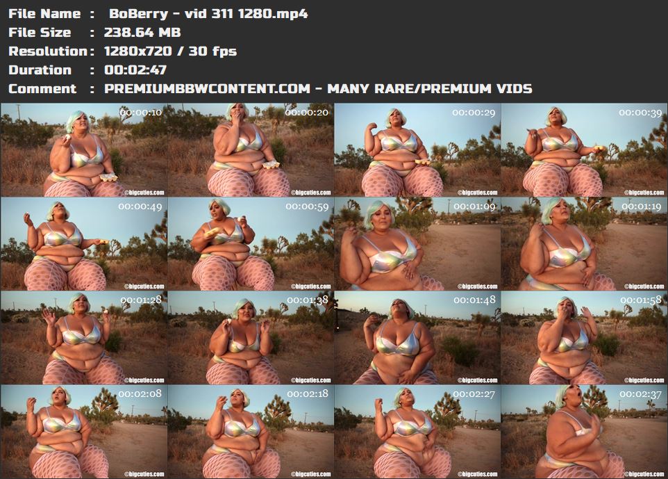  BoBerry - vid 311 1280 thumbnails