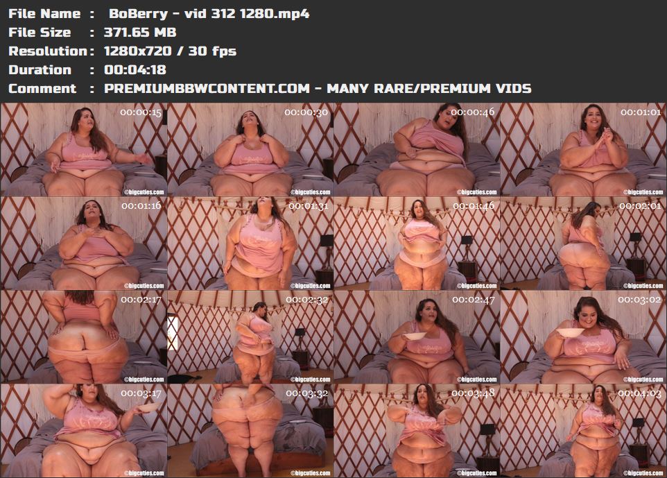  BoBerry - vid 312 1280 thumbnails