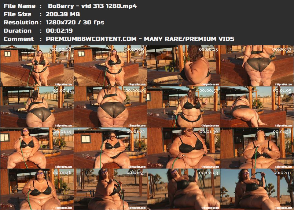  BoBerry - vid 313 1280 thumbnails