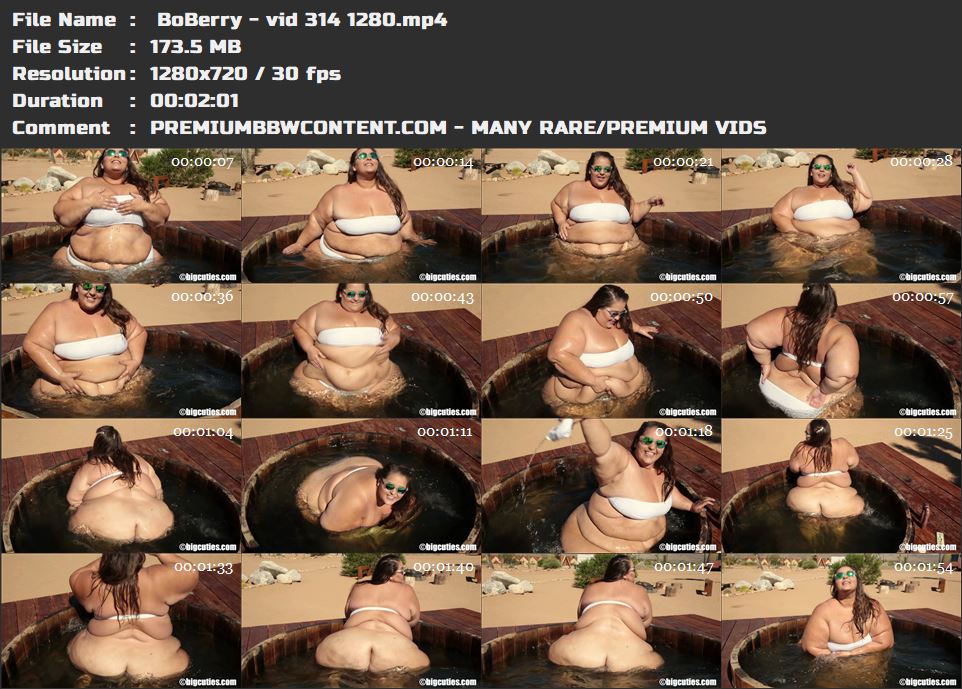  BoBerry - vid 314 1280 thumbnails