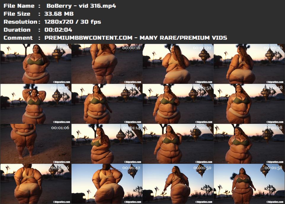  BoBerry - vid 316 thumbnails