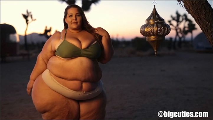  BoBerry - vid 316
