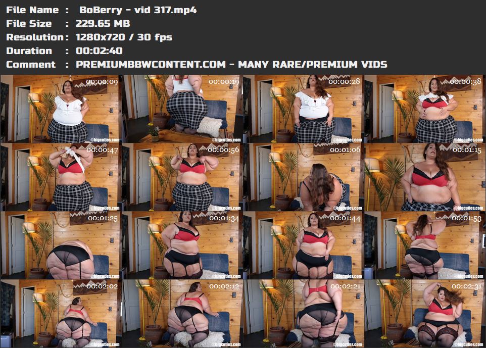  BoBerry - vid 317 thumbnails