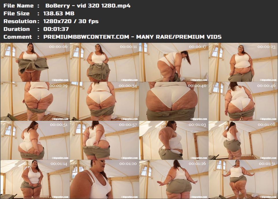  BoBerry - vid 320 1280 thumbnails
