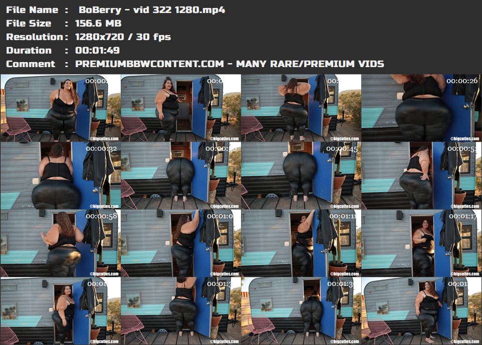  BoBerry - vid 322 1280 thumbnails