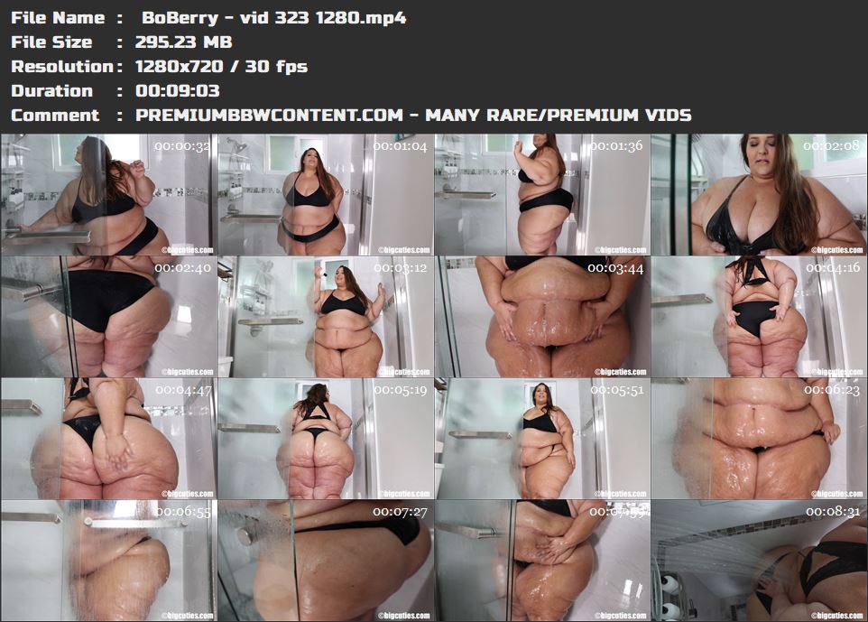  BoBerry - vid 323 1280 thumbnails