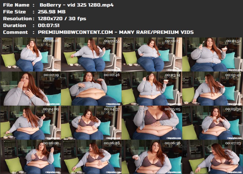  BoBerry - vid 325 1280 thumbnails