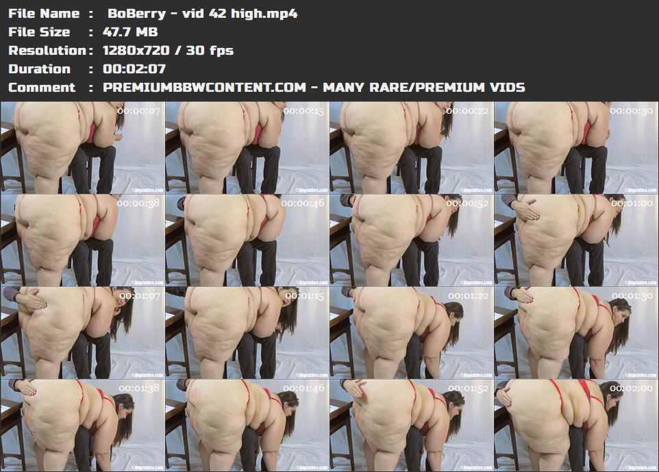  BoBerry - vid 42 high thumbnails