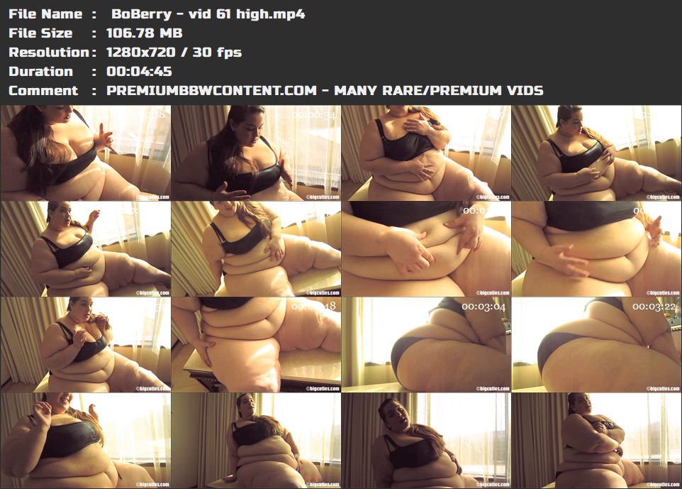  BoBerry - vid 61 high thumbnails