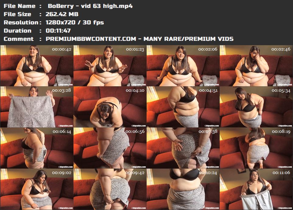  BoBerry - vid 63 high thumbnails